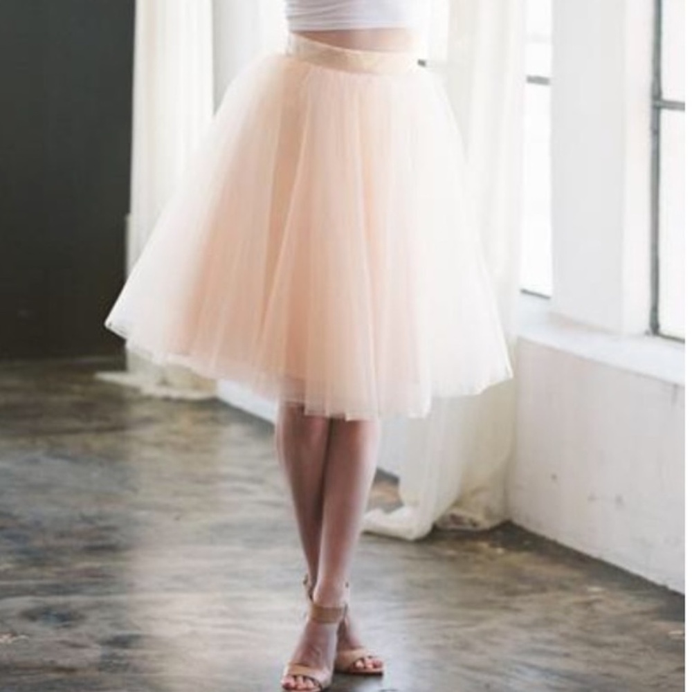 Space 46 Boutique Blush Pink Tulle Skirt The Wendy